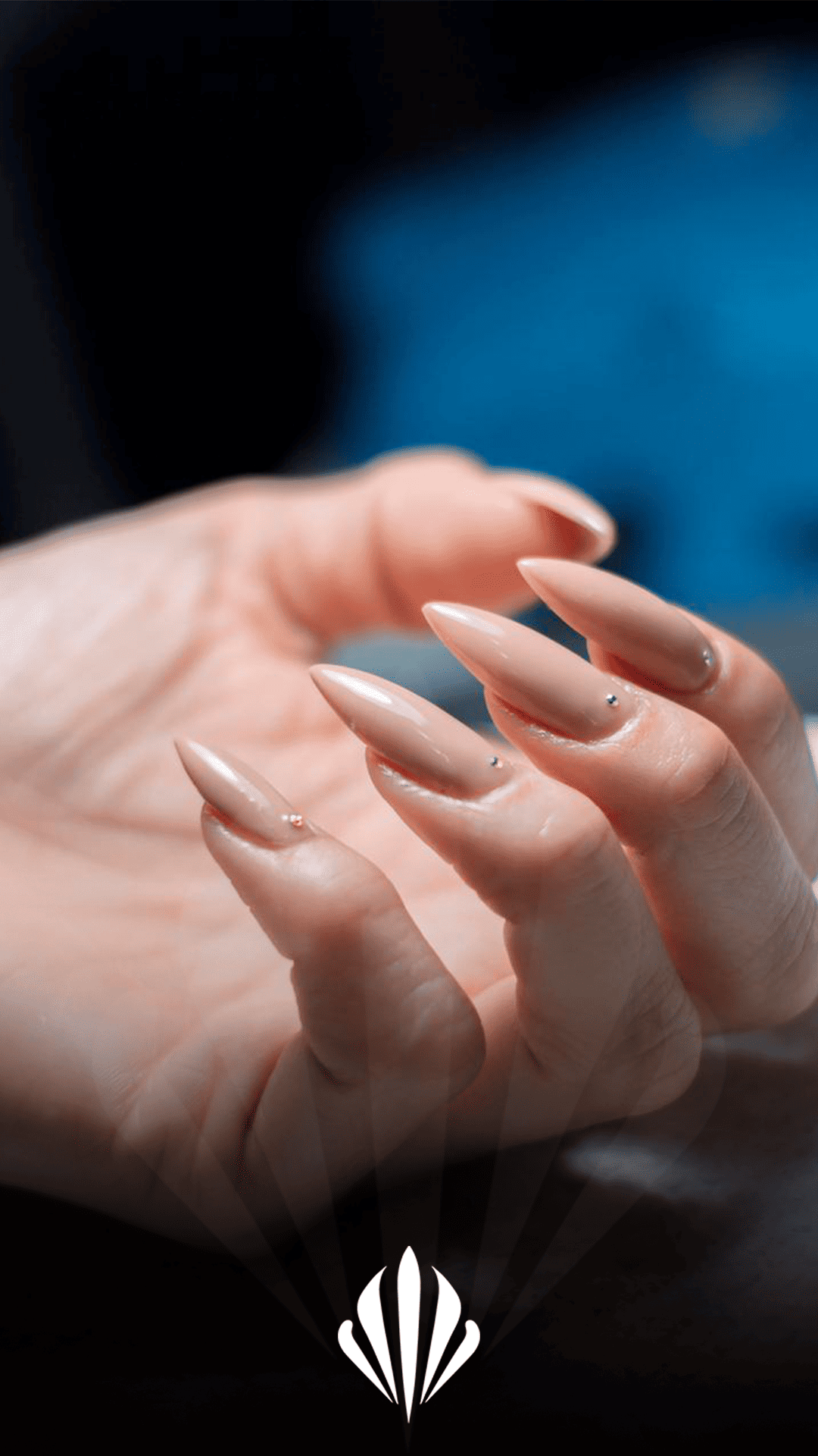 Unhas-Ledoux05